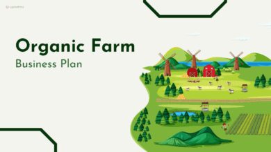 organic farm loans